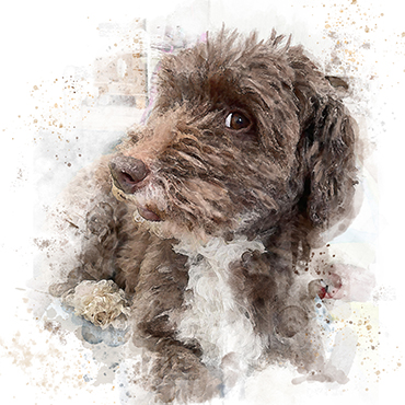 custom pet portrait
